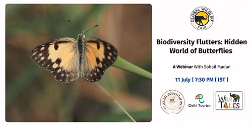 Biodiversity Flutters: Hidden World of Butterflies