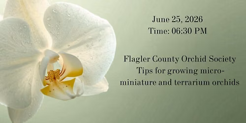 Orchid Sale