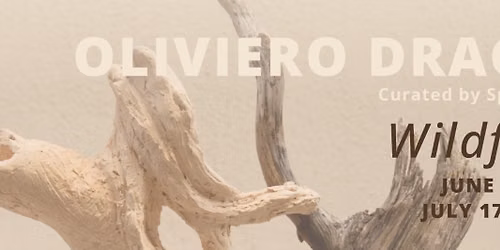 Oliviero Draghi: WILDFIRES