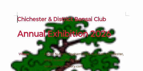 Chichester and District Bonsai Show 