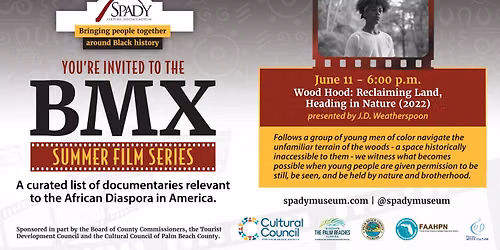 Black Movie Experience (BMX)