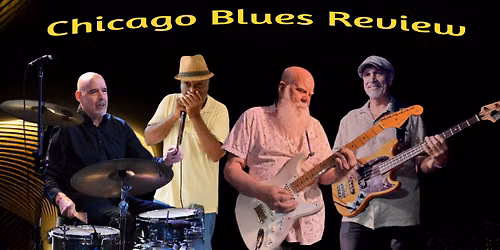 Chicago Blues Review Live Music