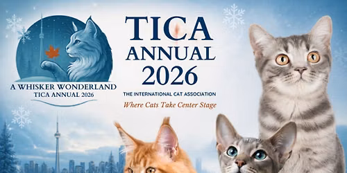 A Whisker Wonderland: 2026 TICA Annual Award Show