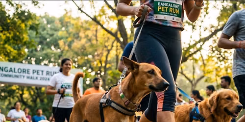 Paws on the Move \u2014Community Run & Walk
