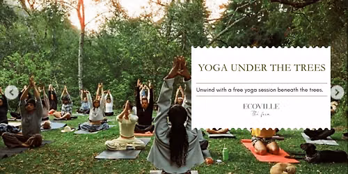 Yoga Under The Trees- Yoga Day Special
