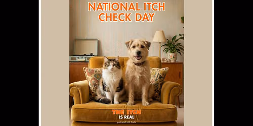 National Itch Check Day Allandale Veterinary Hospital