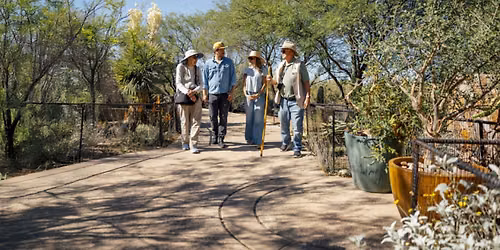 Tohono Chul offers seasonal activities, sizzlin\u2019 specials, free admission for military NOW AVAILABLE