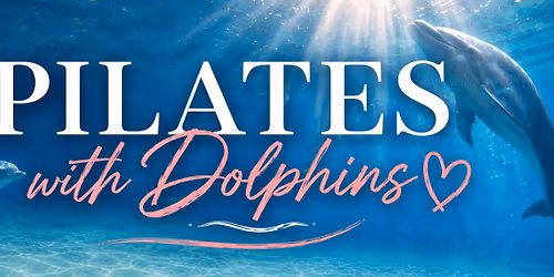 Pilates with Dolphins