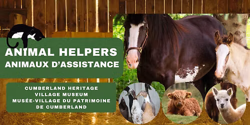 Animal Helpers \/ Animaux d\u2019assistance