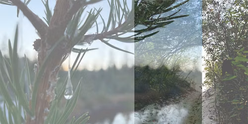 Art Gallery of Mississauga presents I've Been Here Before with Cathie Jamieson & Jill Price