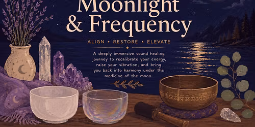Moonlight & Frequency: An Immersive Sound Journey