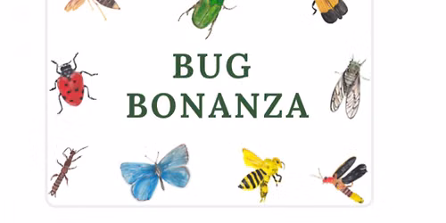 Bug Bonanza