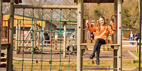Farmyard Summer Fun