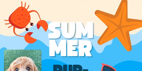 Summer Pup Pawty