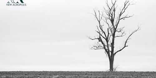 The Philosophy of Death: Learning to Live Fully