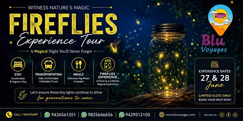 Fireflies with Blu Voyages