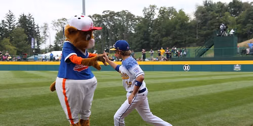 Little League Baseball World Series
