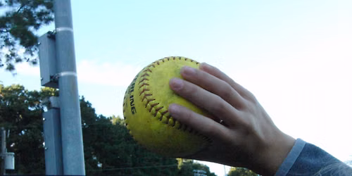 Little League Softball World Series