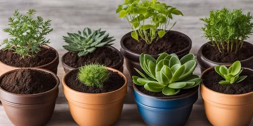 Summer Plant Night: Pot & Grow Workshop