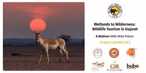 Wetlands to Wilderness: Wildlife Tourism in Gujarat