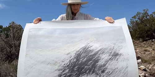 Theresa Gray Solo Show Exhibition