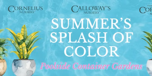 Summer\u2019s Splash of Color: Poolside Container Gardens