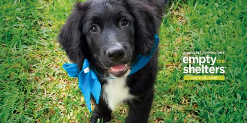 Humane Society of St. Lucie County Free Pet Adoptions | July Empty the Shelters 