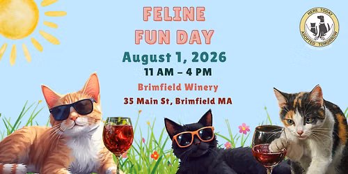 Feline Fun Day