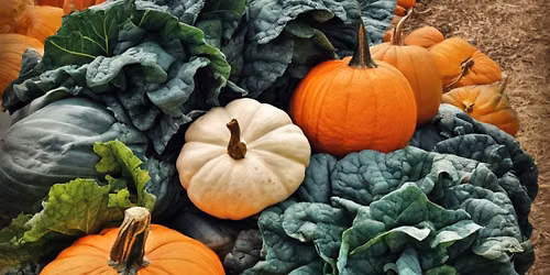 HEARTS Harvest '26