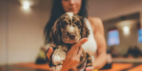 Puppy Yoga & Sound Bath in Manchester