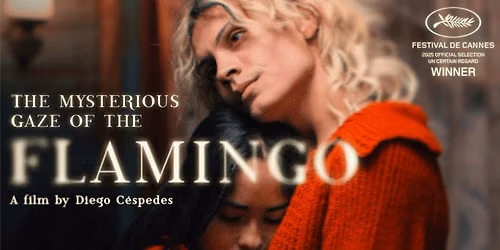 Bingo & Screening