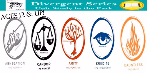 Divergent Series Unit Study @ the Park