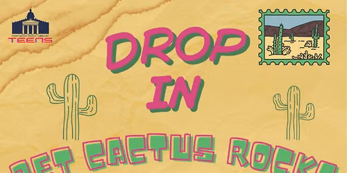 Drop-in Pet Cactus Rocks for Teens
