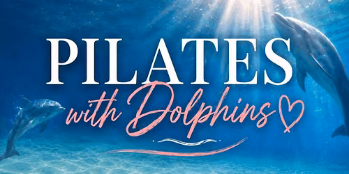 Pilates with Dolphins