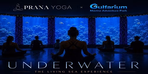 UNDERWATER: The Living Sea Experience