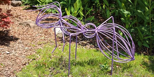 Woodland Wonders Art Exhibition
