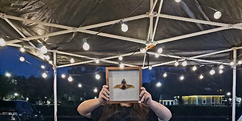 The Sunset Bazaar | Night Market