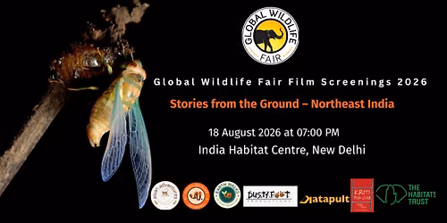 Stories from the Ground \u2013 Northeast India