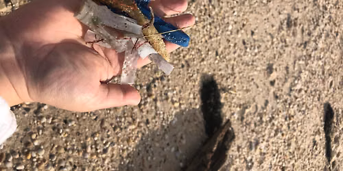 Weekly Beach Cleanup