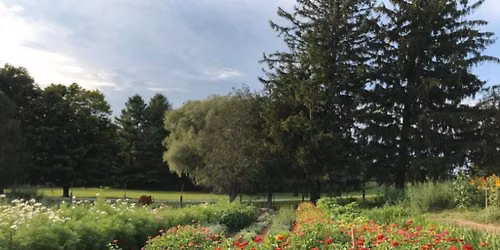 Late Summer Retreat
