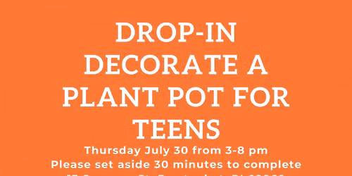 Drop-in Paint a Plant Pot 