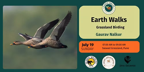 Grassland Birding