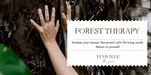 Forest Therapy