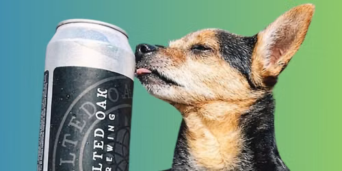 Yappy Hour Dog Social at Vaulted Oak Brewing | Dog-Friendly Charlotte Brewery Event
