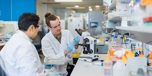 From curiosity to change: How discovery science transforms our world