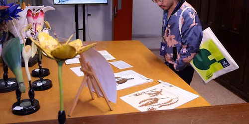 Flora, fauna and TIGRR: the past and future of biology
