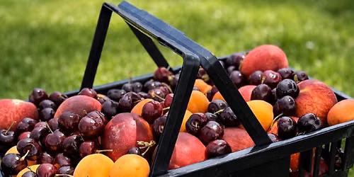 Plum Market Aventura Back-to-School Celebration - August 7-9