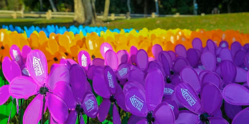 Alzheimer's Mall Crawl