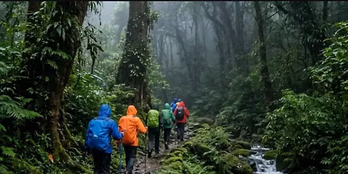 Aadrai Jungle Trek