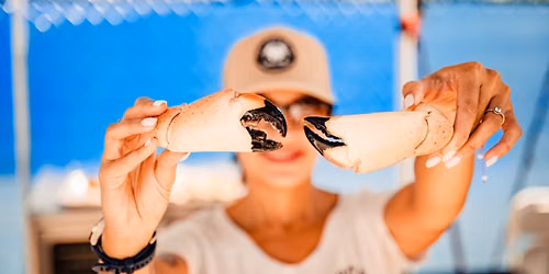 14th Annual South Beach Seafood Festival